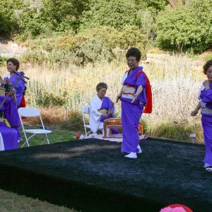 Japanese-style Summer Solstice Celebration to benefit ShinKanAn Teahouse