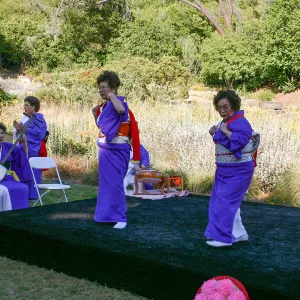 Japanese-style Summer Solstice Celebration to benefit ShinKanAn Teahouse