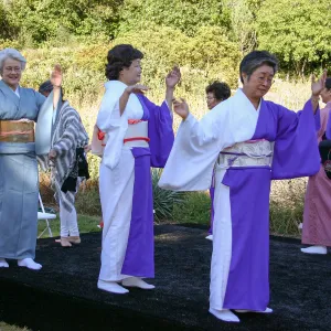 Japanese-style Summer Solstice Celebration to benefit ShinKanAn Teahouse