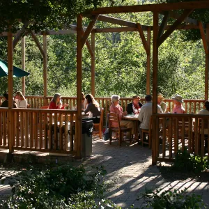 Japanese-style Summer Solstice Celebration to benefit ShinKanAn Teahouse