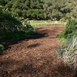 Site where Toad Hall will be constructed