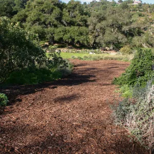 Site where Toad Hall will be constructed