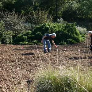 Toad Hall Construction, laying out site
