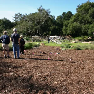 Toad Hall Construction, laying out site
