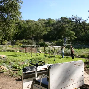 Toad Hall Construction, setting up scaffolding