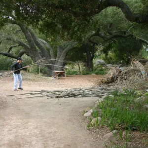 Toad Hall Construction, volunteers and saplings