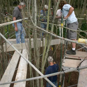 Toad Hall construction