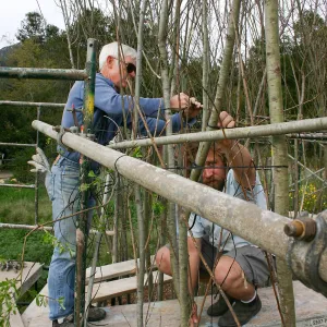 Toad Hall construction