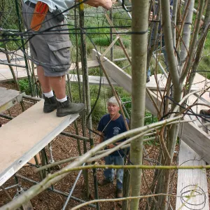 Toad Hall construction