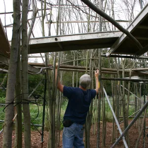 Toad Hall construction
