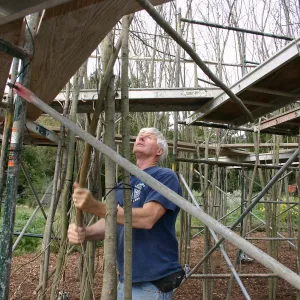 Toad Hall construction