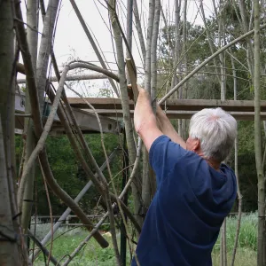 Toad Hall construction