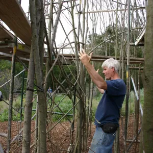 Toad Hall construction