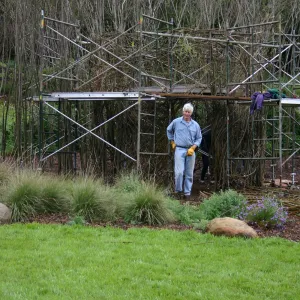Toad Hall Construction