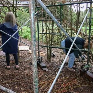 Toad Hall Construction