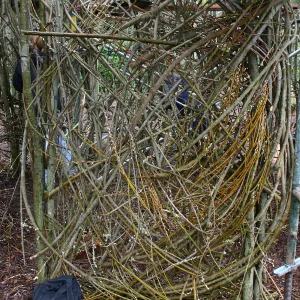 Toad Hall Construction