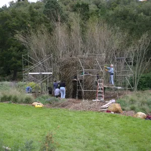 Toad Hall Construction