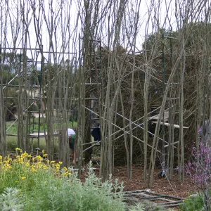 Toad Hall Construction