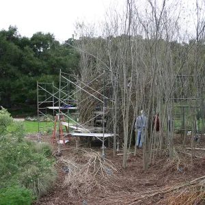 Toad Hall Construction