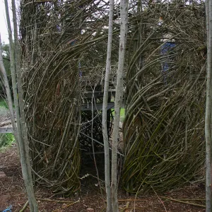 Toad Hall Construction