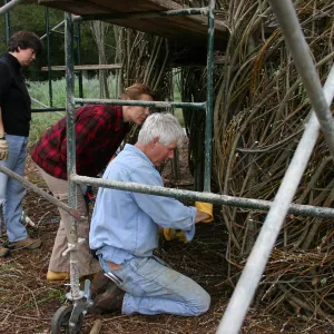 Toad Hall Construction
