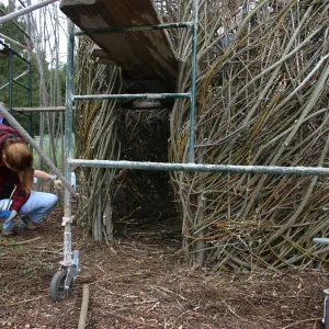 Toad Hall Construction