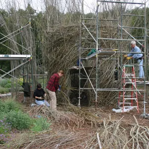 Toad Hall Construction