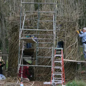 Toad Hall Construction