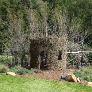 Toad Hall Construction