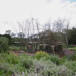 Toad Hall Construction