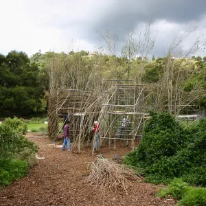 Toad Hall Construction