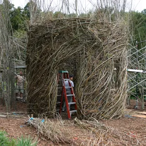 Toad Hall Construction