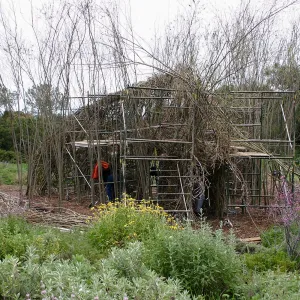 Toad Hall Construction