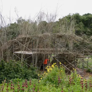 Toad Hall Construction