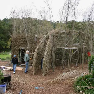 Toad Hall Construction