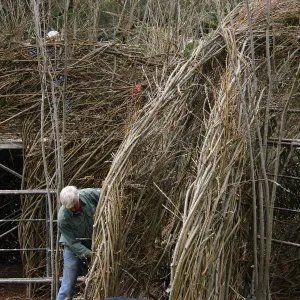 Toad Hall Construction
