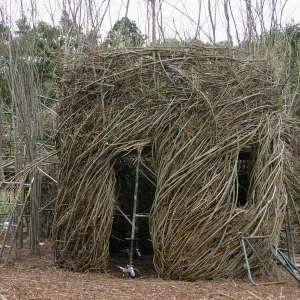 Toad Hall Construction