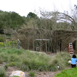Toad Hall Construction
