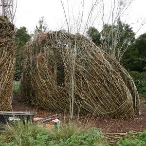 Toad Hall Construction