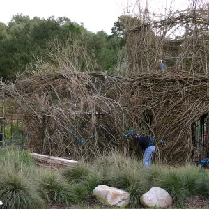 Toad Hall Construction