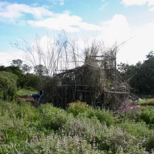 Toad Hall Construction