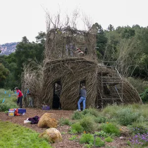 Toad Hall Construction