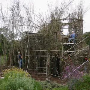Toad Hall Construction