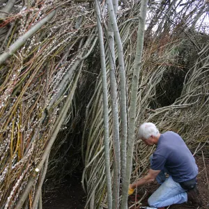 Toad Hall Construction