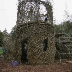 Toad Hall Construction