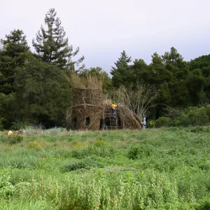 Toad Hall Construction