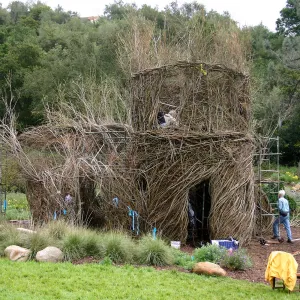 Toad Hall Construction