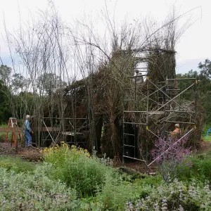 Toad Hall Construction