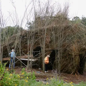 Toad Hall Construction