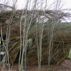 Toad Hall Construction